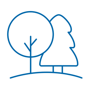 icon cái cây